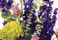For The Service Image